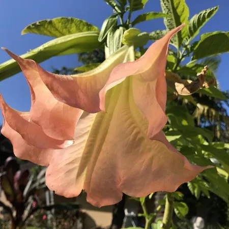 Casa Blumer - Mit 1200m2 Garten By Interhome Holiday home *