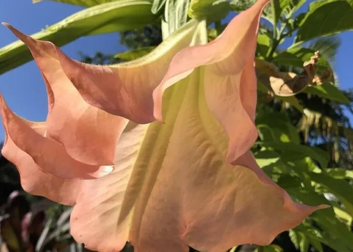 Casa Blumer - Mit 1200m2 Garten By Interhome Nyaraló *